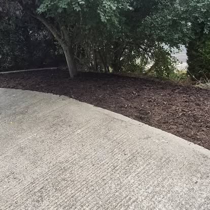 Mulched garden bed beside paving